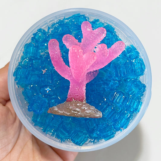 Enchanted Coral Crystals